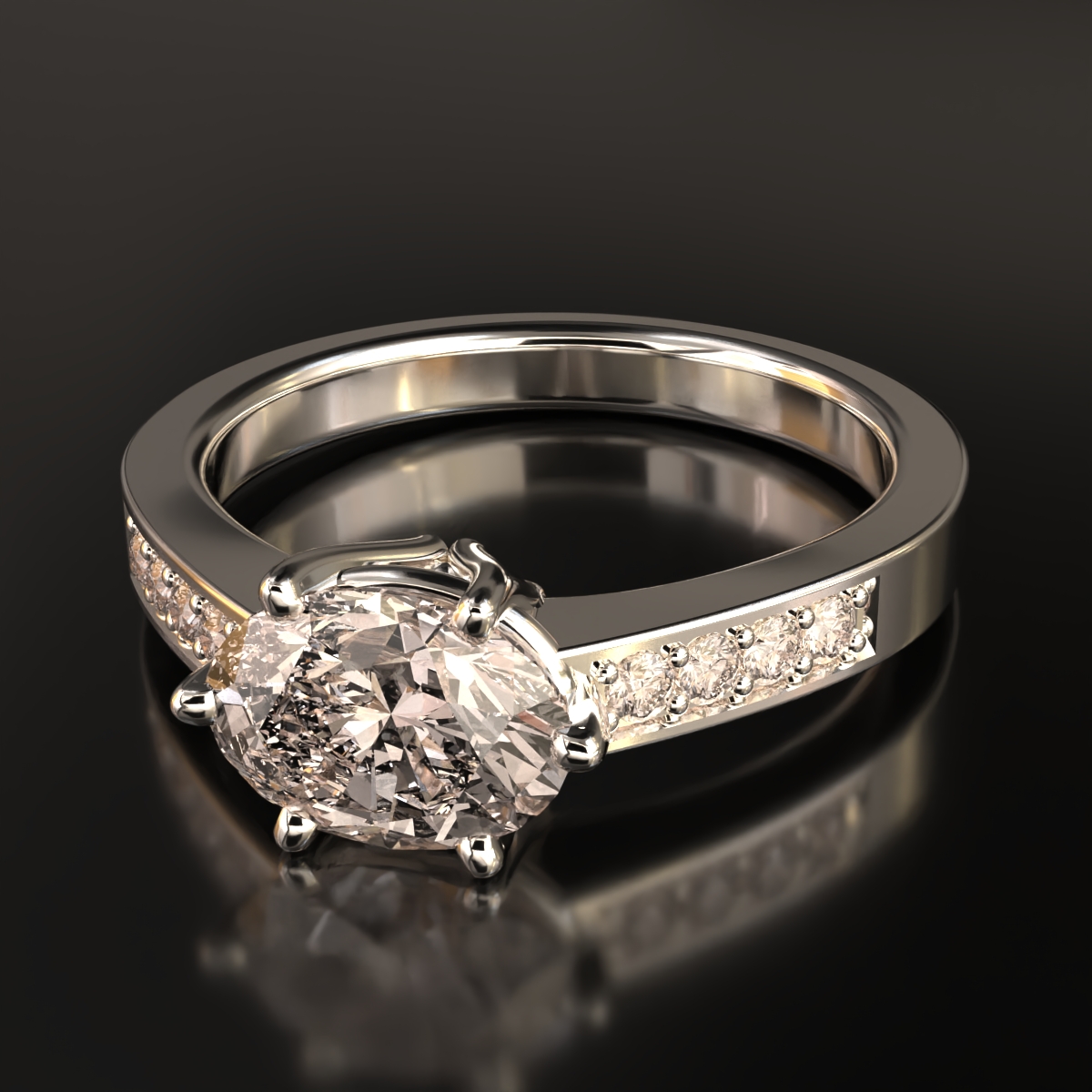  ring view 5