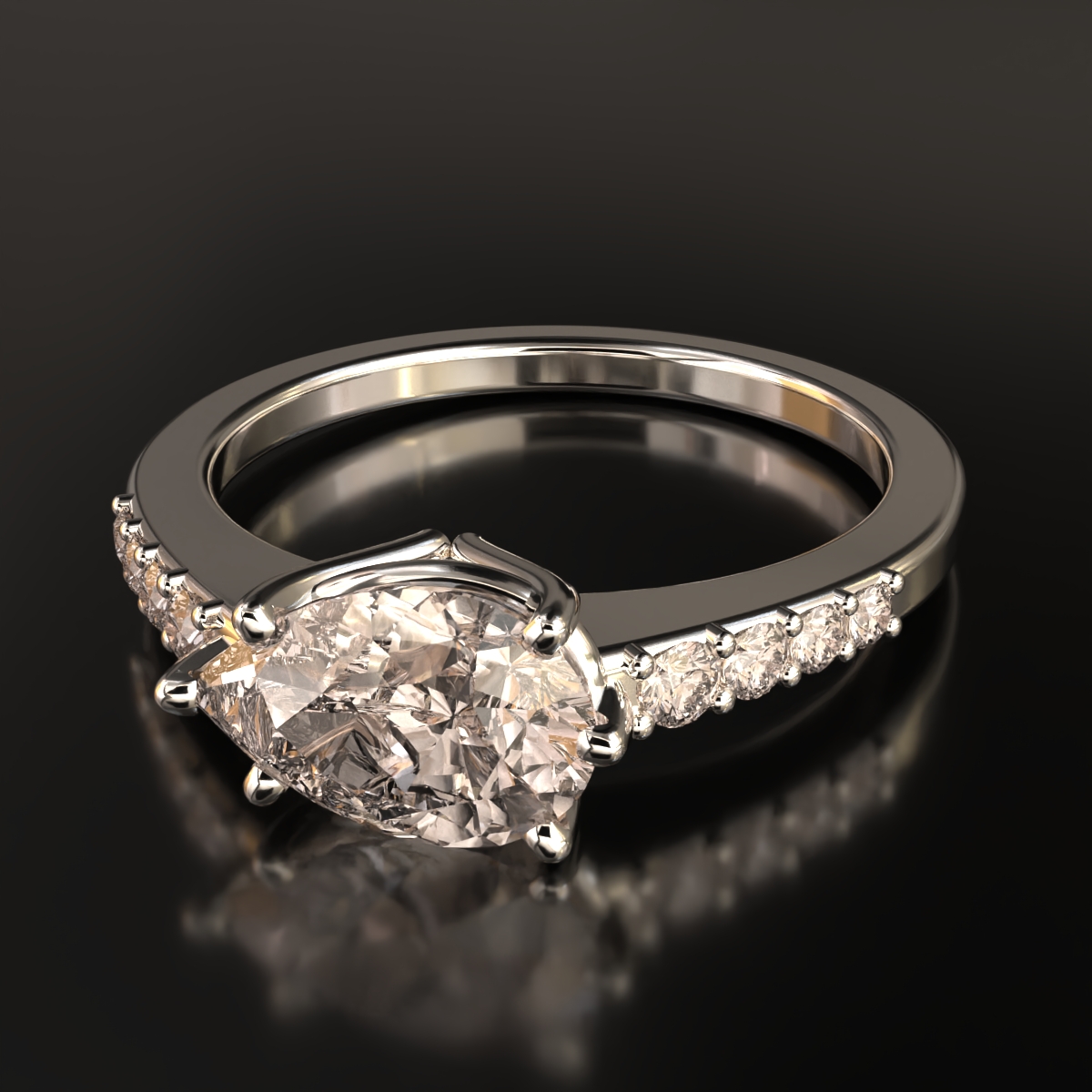  ring view 5