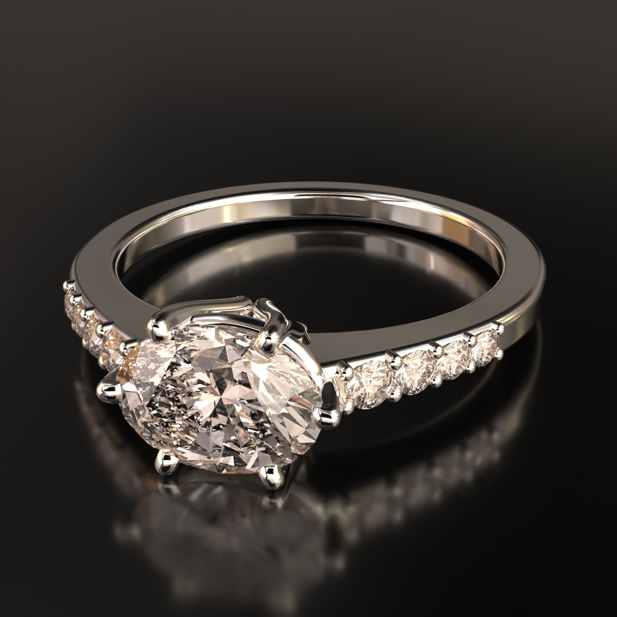  ring view 5