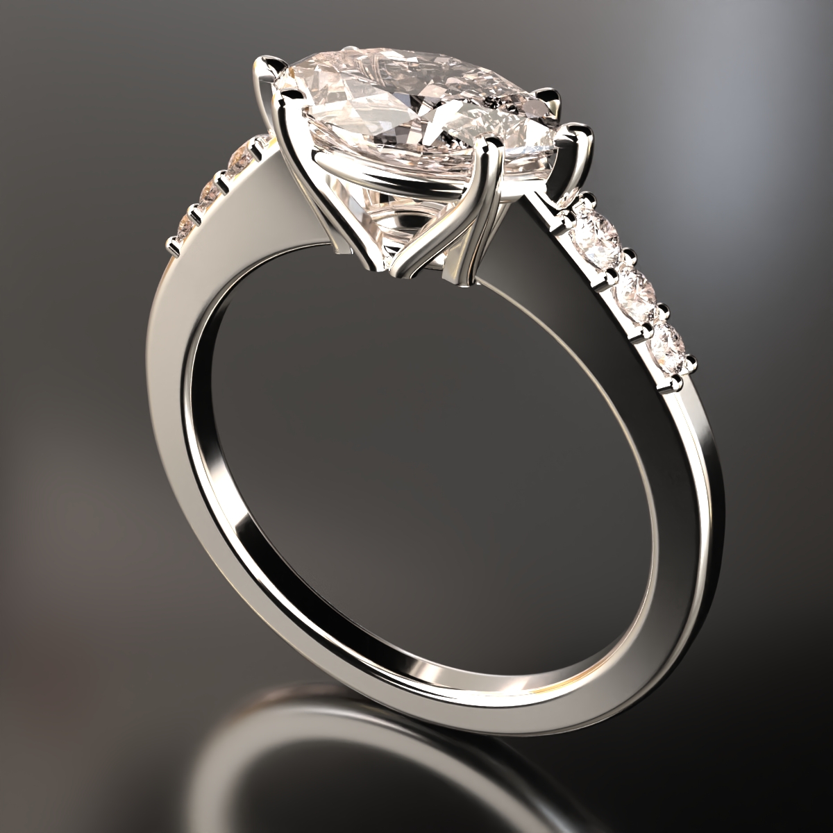 ring view 2
