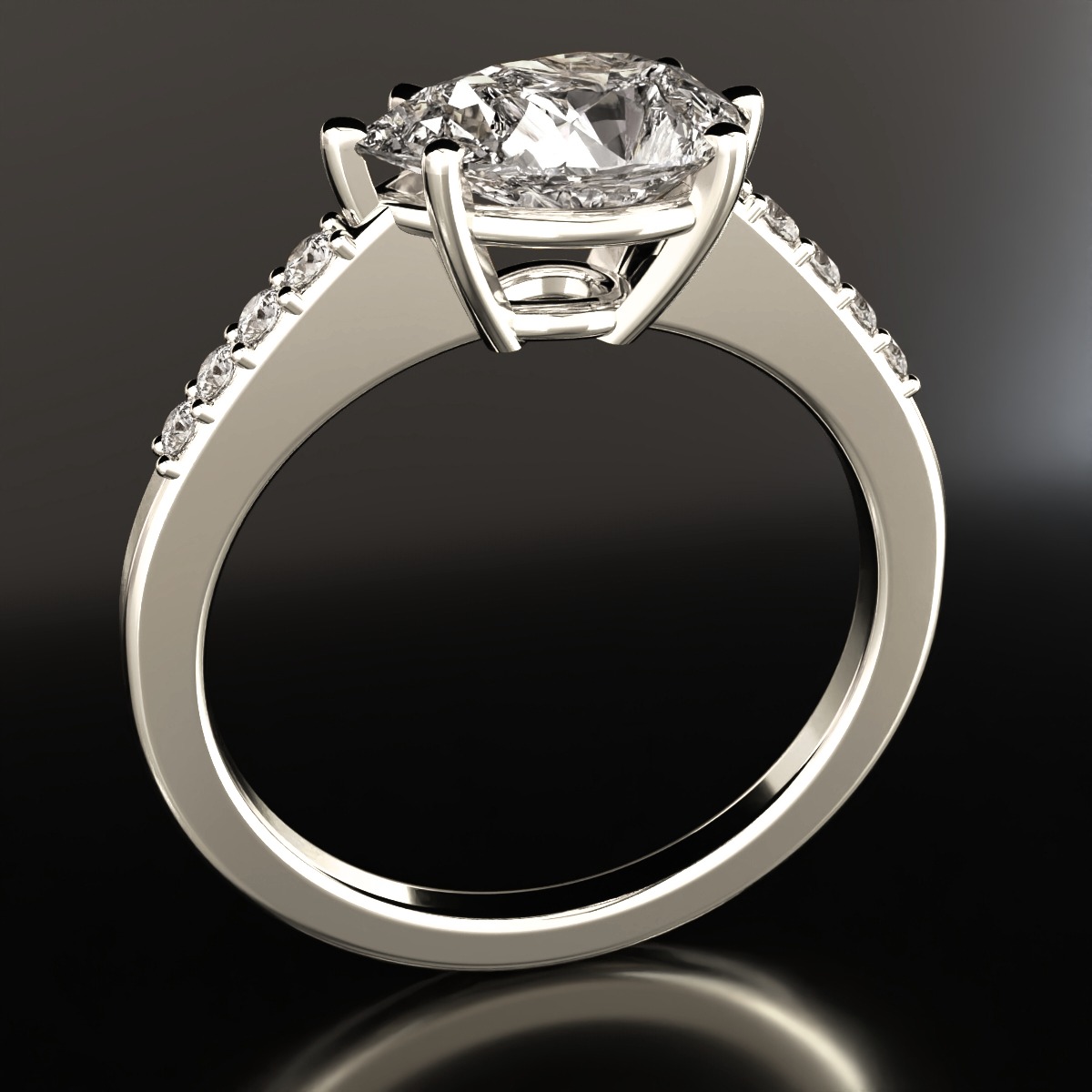  ring view 2