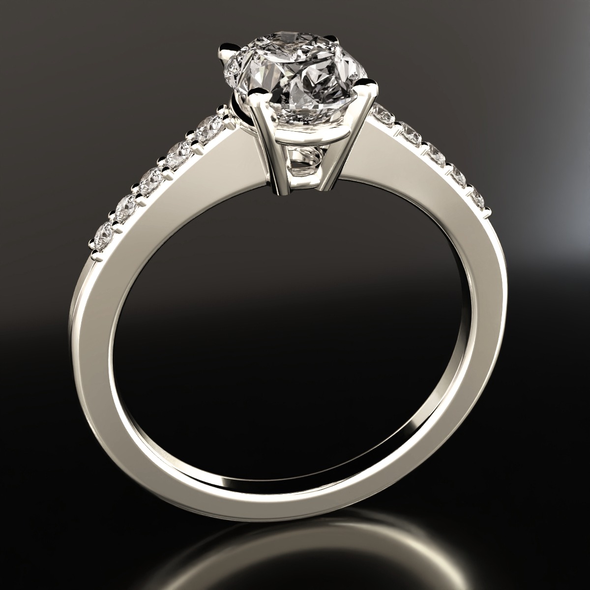  ring view 2