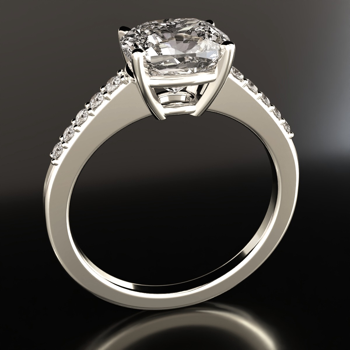  ring view 2