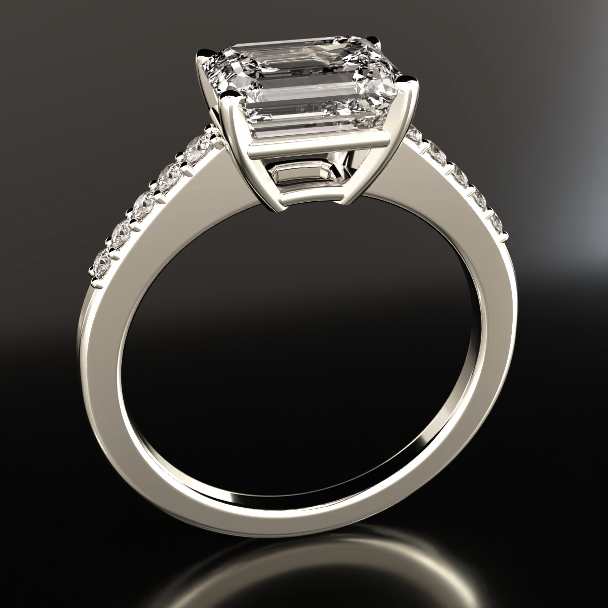  ring view 2