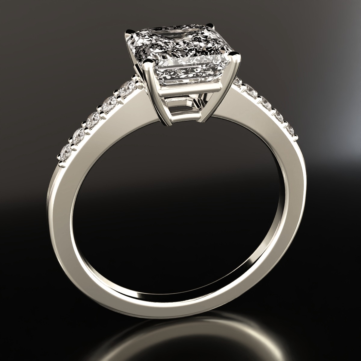  ring view 2