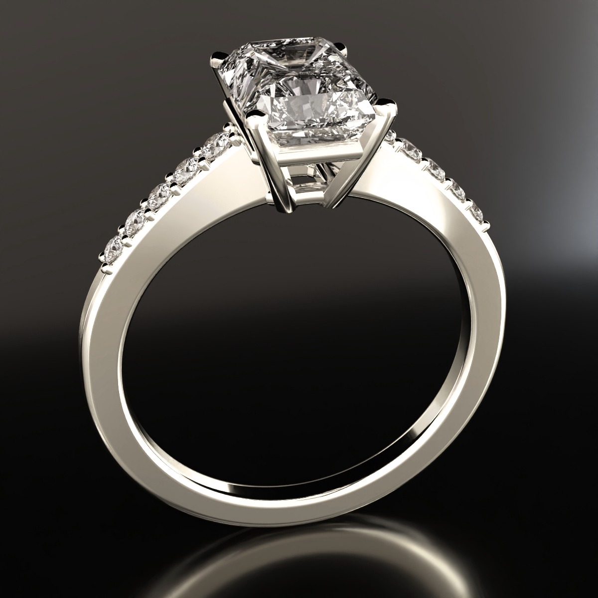  ring view 2