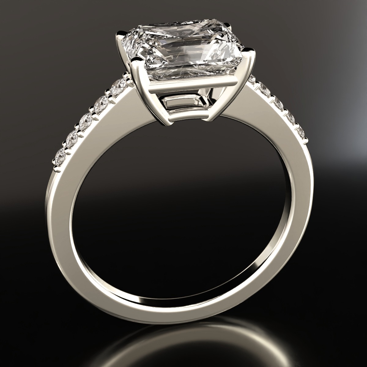  ring view 2