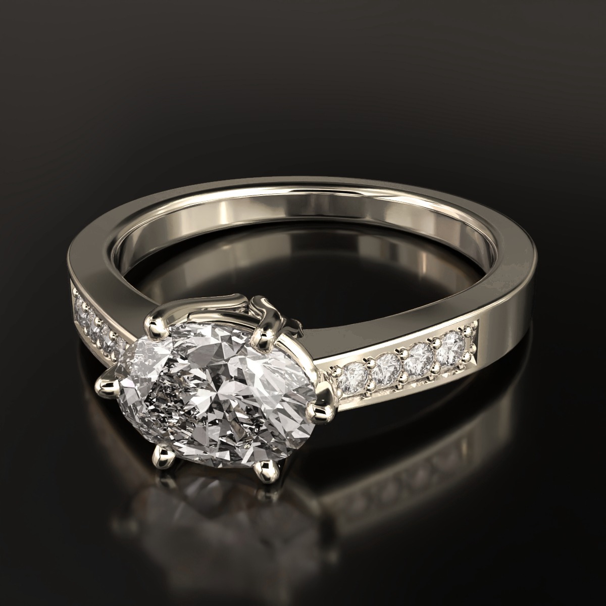  ring view 5